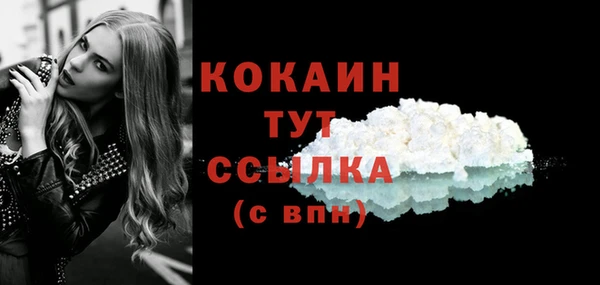 метадон Ельня