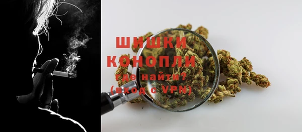 метадон Ельня