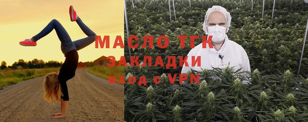 соль ск Елабуга