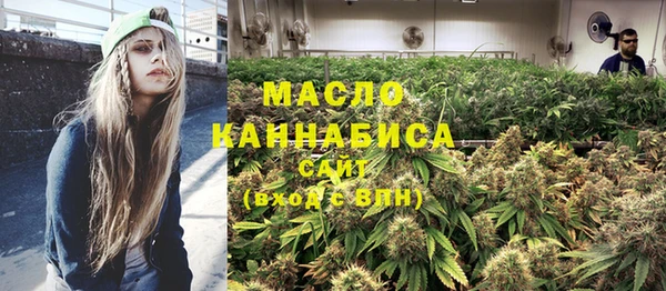метадон Ельня
