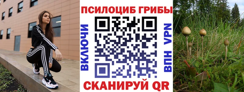 Псилоцибиновые грибы Psilocybe  Пикалёво 